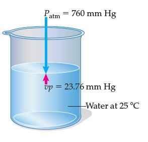 Patm = 760 mm Hg vp = 23.76 mm Hg -Water at 25 C