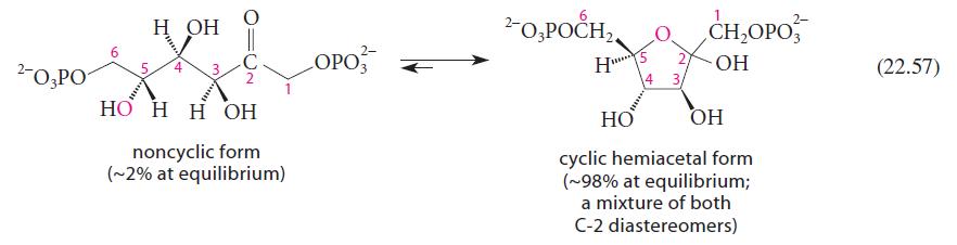 2-03 H OH O C 2 HO H H  noncyclic form (~2% at equilibrium) LOPO 2-O,POCH2, H5 14 HO 3 CH,OPO - OH  cyclic