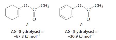 O CH3 A AG (hydrolysis) = -67.3 kJ mol- O CH3 B AG (hydrolysis) = -30.9 kJ mol-