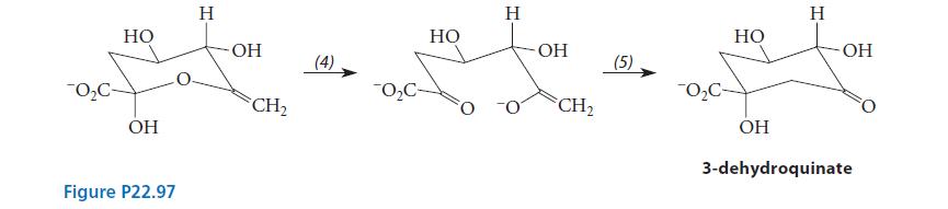 70 C- HO OH Figure P22.97  OH CH (4) TO C- HO H  OH CH (5) 0 C HO OH  OH 3-dehydroquinate