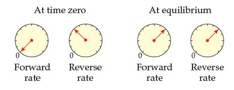At time zero Forward Reverse rate rate At equilibrium Forward Reverse rate rate