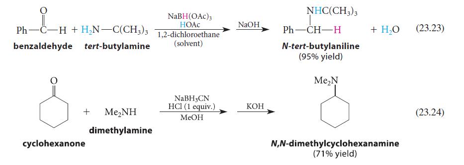 PhCH+H_NC(CH3)3 benzaldehyde tert-butylamine + Me,NH dimethylamine cyclohexanone NaBH(OAC) 3 HOAC