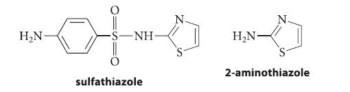 HN- -NH- sulfathiazole HN- 2-aminothiazole