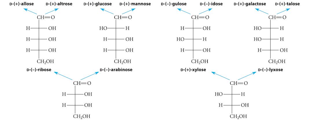 D-(+)-allose - -  D-(+)-altrose CH=O  OH OH CHOH D-(-)-ribose H H D-(+)-glucose CH-O OH  CHOH  H H