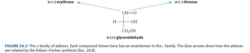D-(-)-erythrose H CH=O -OH CHOH D-(+)-glyceraldehyde D-(-)-threose FIGURE 24.3 The D family of aldoses. Each