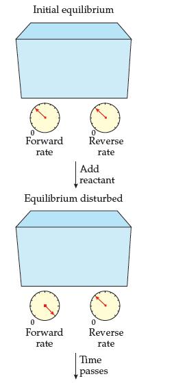 Initial equilibrium Forward rate Reverse rate Add reactant Equilibrium disturbed Forward rate Reverse rate