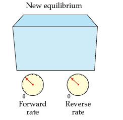 New equilibrium 0 Forward rate 0 Reverse rate