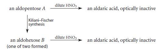 an aldopentose A Kiliani-Fischer synthesis an aldohexose B (one of two formed) dilute HNO3 dilute HNO3 an
