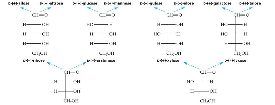 D-(+)-allose - -  D-(+)-altrose CH=O  OH OH CHOH D-(-)-ribose  H D-(+)-glucose D-(+)-mannose CH-O OH  CHOH  