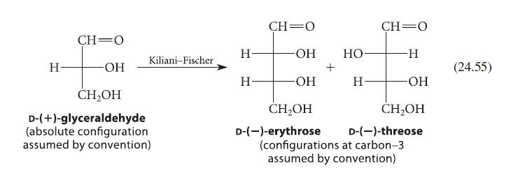 H CH O -OH Kiliani-Fischer CHOH D-(+)-glyceraldehyde (absolute configuration assumed by convention) H H- CH O