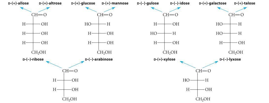 D-(+)-allose - -  D-(+)-altrose CH=O  OH OH CHOH D-(-)-ribose  H D-(+)-glucose D-(+)-mannose D-(-)-gulose
