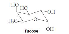 HO H3C- HO -0- fucose -OH