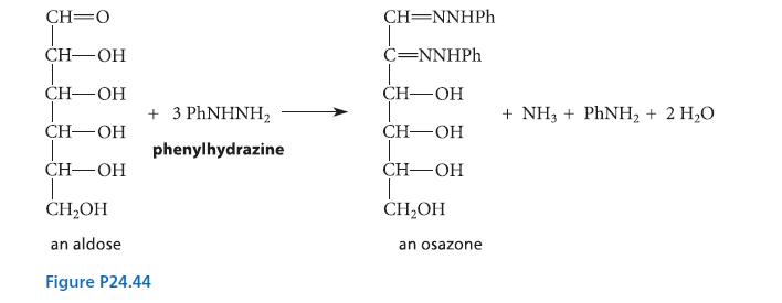 CH O CH-OH 1 CH-OH CH-OH CH-OH T CHOH + 3 PhNHNH, phenylhydrazine an aldose Figure P24.44 CH=NNHPh C=NNHPh