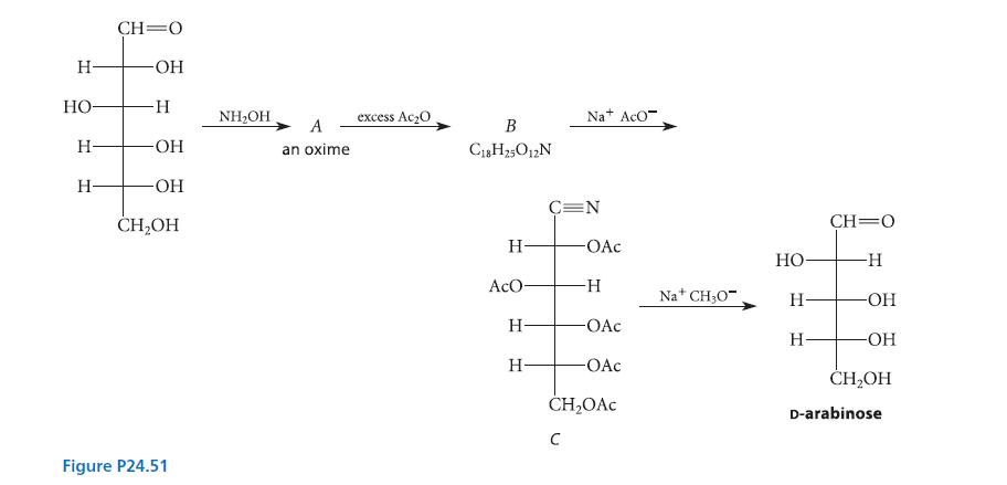 H- - H H CH O -OH -H -OH -OH CHOH Figure P24.51 NHOH A an oxime excess Ac0 B C18H25O12N H- AcO- H- H- Na+ ACO