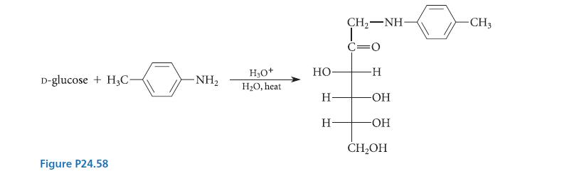 D-glucose+H3C- Figure P24.58 -NH HO + HO, heat HO- H- H- CH, NH T C=O -H -OH -OH CHOH -CH3