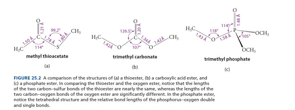 1.50  HC 114 99.2 1.78  (a) 1.80  methyl thioacetate CH3 HC. 1.42A 126.5% O 107 1.34 O 1.42 trimethyl