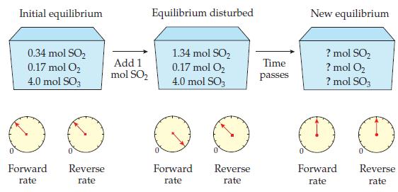 Initial equilibrium 0.34 mol SO 0.17 mol O 4.0 mol SO3 Forward rate Reverse rate Add 1 mol SO Equilibrium