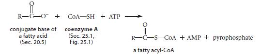 R-C-O + CoA SH+ ATP coenzyme A conjugate base of a fatty acid (Sec. 25.1, (Sec. 20.5) Fig. 25.1)