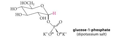 HO HOCH HO- OH -H '0 ' glucose-1-phosphate (dipotassium salt)