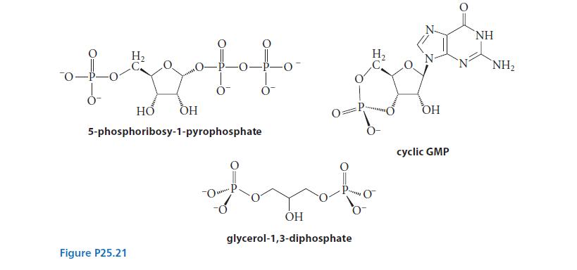 of H Figure P25.21 Lolo 0 HO OH 5-phosphoribosy-1-pyrophosphate 0 OP. 0 Dvd fort OH glycerol-1,3-diphosphate