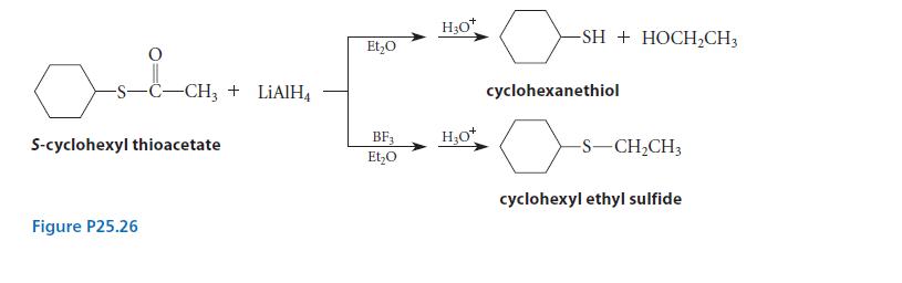 -S-C-CH3 + LiAlH S-cyclohexyl thioacetate Figure P25.26 EtO BF3 EtO HO* HO* -SH+ HOCHCH3 cyclohexanethiol
