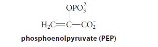 OPO HC=C-CO phosphoenolpyruvate (PEP)