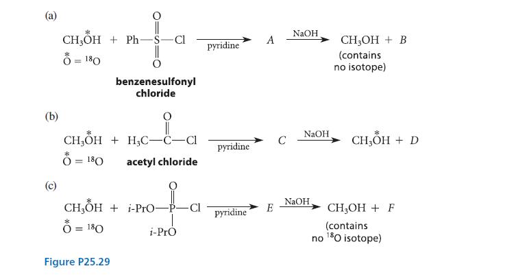 (a) (b) * CH3OH+ Ph- 0 = 180 0 = 180  - -Cl CHOH+H3C-C-Cl acetyl chloride Figure P25.29 benzenesulfonyl