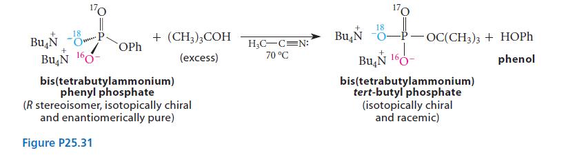 + Bu N 170 O P 18 **** + Bu N 160- OPh + (CH3)3COH (excess) bis(tetrabutylammonium) phenyl phosphate (R
