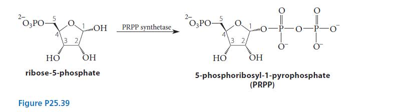 203PO-5 4 3 2/ OH Figure P25.39 HO ribose-5-phosphate OH 203PO- PRPP synthetase, 13 2, HO foto OH