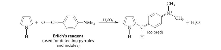 +0=CH- -NMe Erlich's reagent (used for detecting pyrroles and indoles) HSO4 CH3 N+ CH3 Bos (colored) H H N +