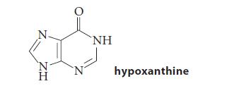 HZ N  hypoxanthine
