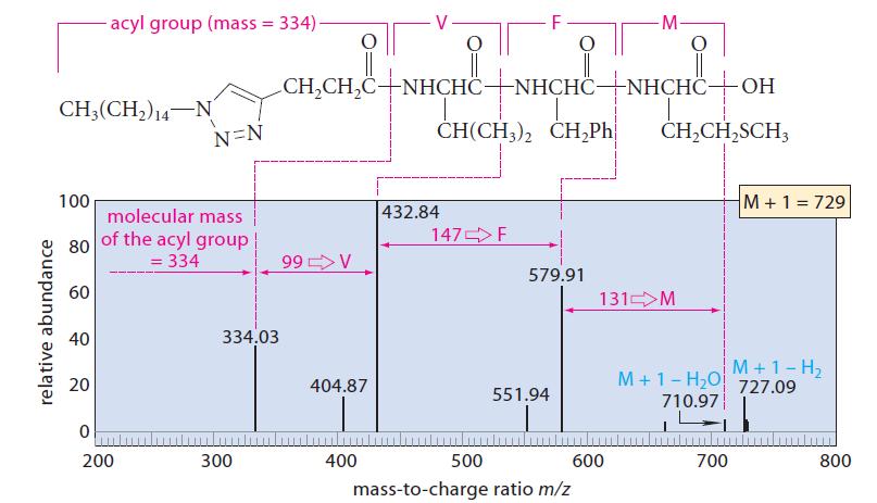 relative abundance CH3(CH) 14 N 100 80 60 40 -acyl group (mass = 334)- 20 N=N molecular mass of the acyl