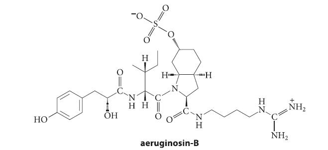 H orig HH || 'N aeruginosin-B HO z H OH "H H H NH NH