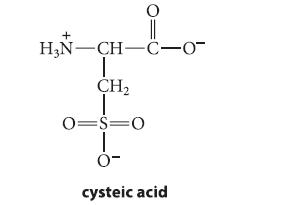HN-CH-C-0- T CH 0=S=O 0 cysteic acid
