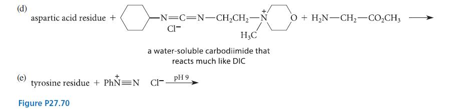 (d) aspartic acid residue + tyrosine residue + PhN=N Figure P27.70 -N=C=NCH,CH,N O O + HNCH,CO,CH3 CI- HC a