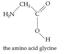 HN CH C O H the amino acid glycine