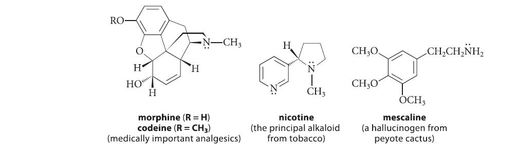RO- O H HO H H N-CH3 morphine (RH) codeine (R = CH3) (medically important analgesics) H CH3 nicotine (the