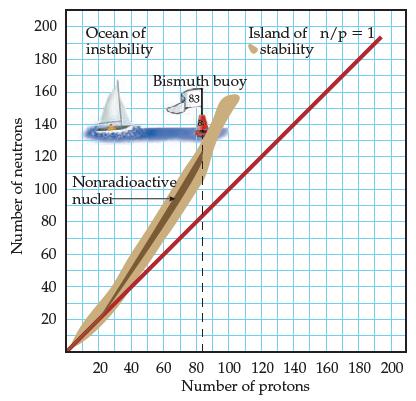 Number of neutrons 200 180 160 140 120 100 Nonradioactive nuclei 80 60 40 20 Ocean of instability Island of