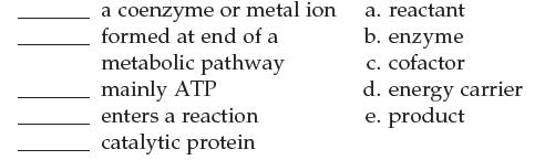 a coenzyme or metal ion formed at end of a metabolic pathway mainly ATP enters a reaction catalytic protein