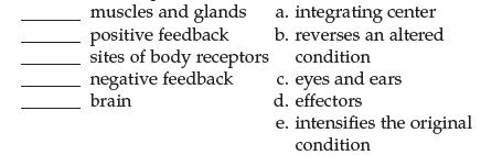 muscles and glands positive feedback sites of body receptors negative feedback brain a. integrating center b.