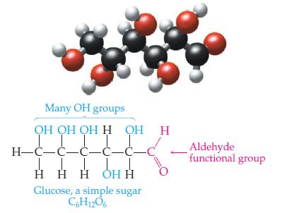 Many OH groups OH OH OH H OH H-C-C-C-C-C-C _e_e      Glucose, a simple sugar CH12O6 H Aldehyde functional