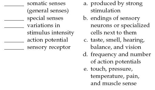 somatic senses (general senses) special senses variations in stimulus intensity action potential sensory