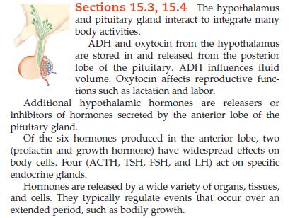 Sections 15.3, 15.4 The hypothalamus and pituitary gland interact to integrate many body activities. ADH and