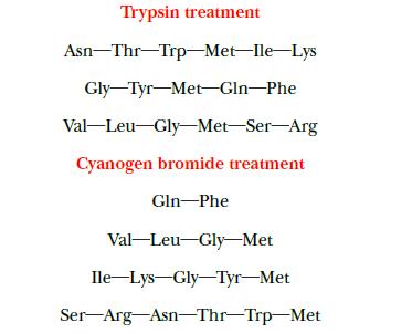 Trypsin treatment Asn-Thr-Trp-Met-Ile-Lys Gly-Tyr Met Gln-Phe Val-Leu-Gly-Met-Ser-Arg Cyanogen bromide