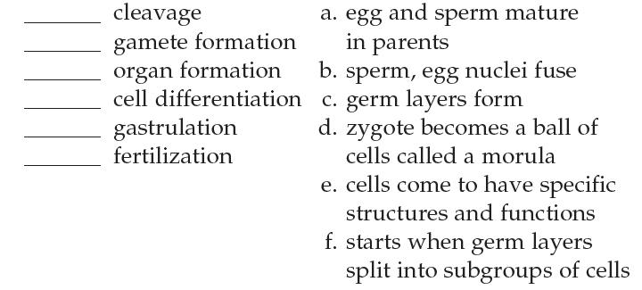 cleavage gamete formation organ formation cell differentiation gastrulation fertilization a. egg and sperm