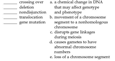 crossing over deletion nondisjunction translocation gene mutation a. a chemical change in DNA that may affect