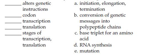 alters genetic instructions codon transcription translation stages of transcription, translation a.