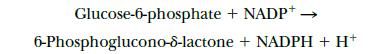 Glucose-6-phosphate + NADP+  6-Phosphoglucono-8-lactone + NADPH + H+