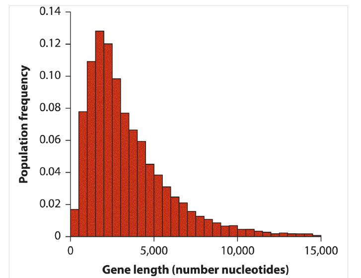 Population frequency 0.14 0.12 0.10 0.08 0.06 0.04 0.02 0 0 5,000 10,000 Gene length (number nucleotides)