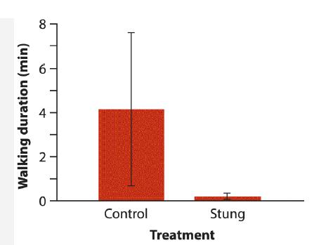 Walking duration (min) 8 2 0 Control Stung Treatment